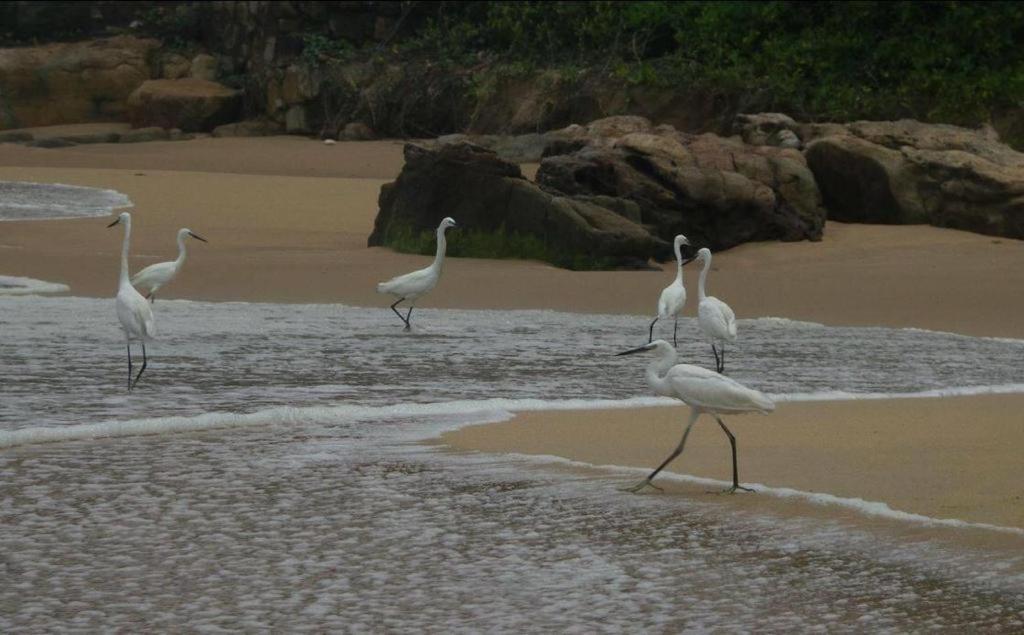 Karikkathi Beach House Thiruvananthapuram Buitenkant foto
